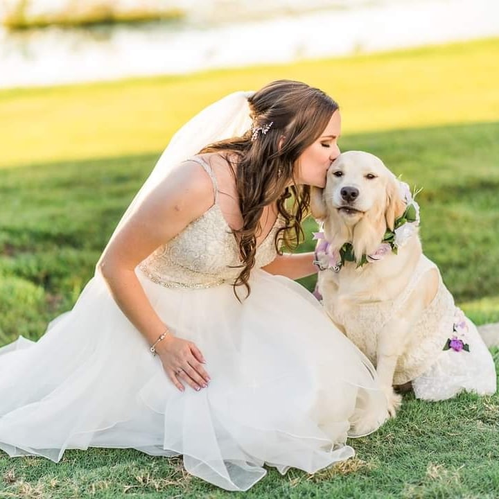 Bride with her Dog